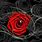 Black N Red Roses