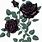 Black Rose Graphic