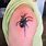 Black Widow Spider Tattoo Drawings