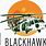 Blackhawk Helicopter Logo
