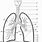 Blank Diagram of the Lungs