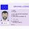 Blank UK Drivers License