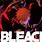 Bleach Anime New Season