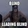 Blind Leading Blind Meme