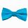 Blue Bow Tie