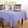 Blue Checkered Tablecloth
