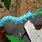 Blue Hornworm