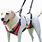 Body Harness for Dogs
