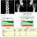 Bone Density Test Results Explained Chart