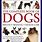 Books About Dogs for Adults