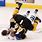 Boston Bruins Hockey Fights