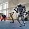 Boston Dynamics Dancing Robots