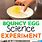 Bouncy Egg Science Experiment