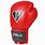 Boxing Hand Gloves