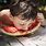 Boy Eating Watermelon