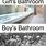 Boys vs Girls Bathrooms Meme