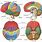 Brain Anatomy Atlas