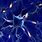 Brain Neurons Images