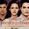 Breaking Dawn 1