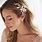 Bridal Hair Accessories Flowers