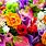 Bright Colorful Flowers Background