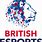 British eSports Logo