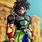 Broly New Form