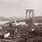 Brooklyn Bridge Disaster
