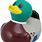 Brown Duck Toys