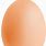 Brown Egg ClipArt