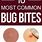 Bug Bite Identification Chart