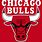 Bulls Team Logo