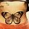 Butterfly Belly Button Tattoo