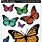 Butterfly Pics to Print