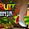 Buy Fruit Ninja