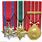 Canadian Army Medals