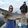 Canadian Lake Trout