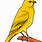 Canary Bird Clip Art