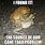 Cane Toad Memes