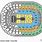 Capital One Arena Concert Seating