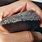 Carbonado Black Diamond Meteorite