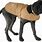 Carhartt Dog Coat