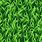 Cartoon Grass Pattern
