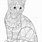 Cat Coloring Book Pages