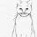 Cat Drawing Outline Easy