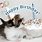 Cat Happy Birthday Wishes