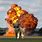 Cat Walking Away From Explosion