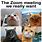 Cat Zoom Meeting Meme