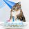Cat and Birthday Cake