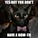 Cat with Bow Tie Meme